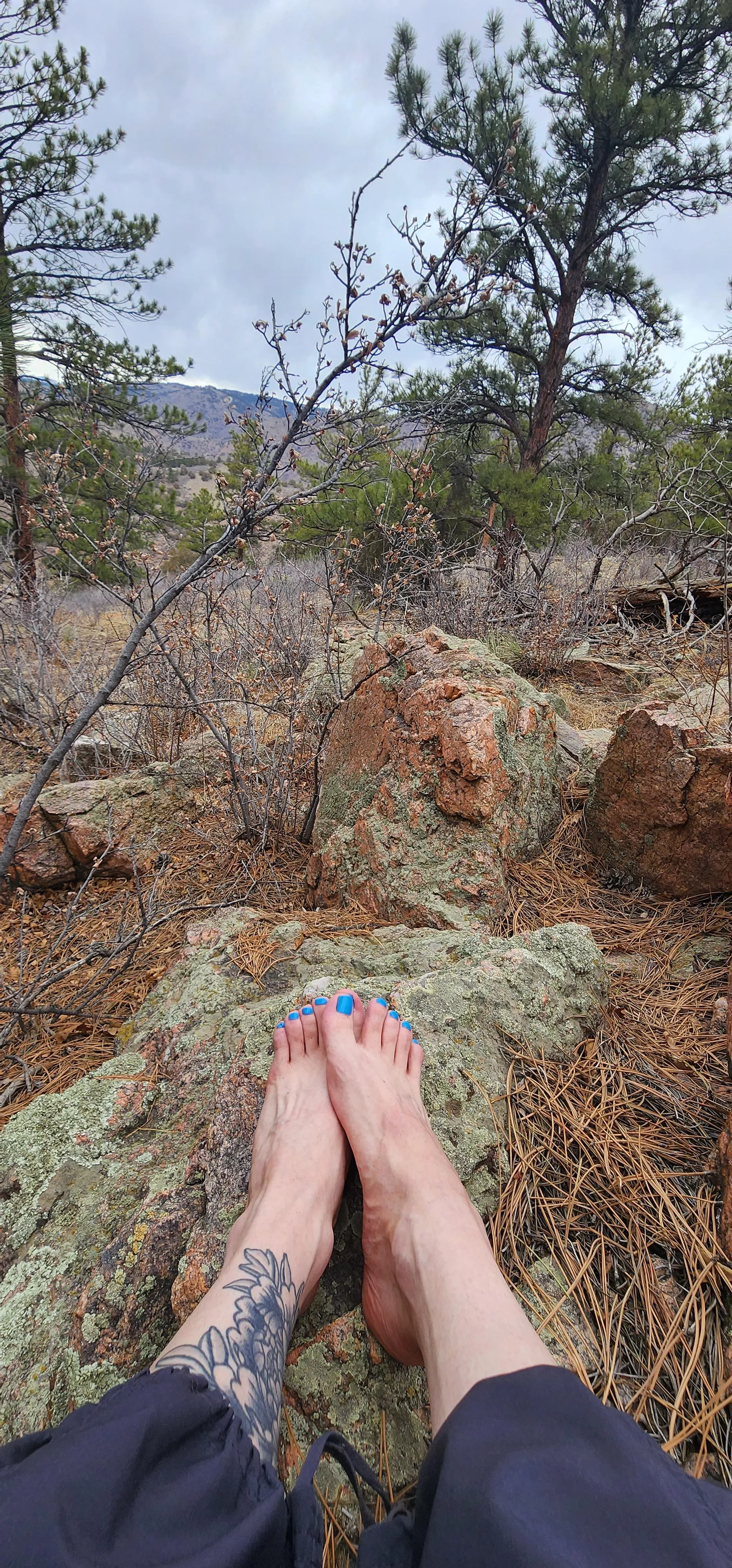Went for a hike today. Would you suck on my toes in the mountains?