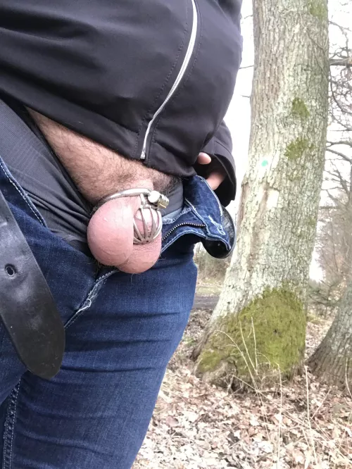 Went for a walk 🔒