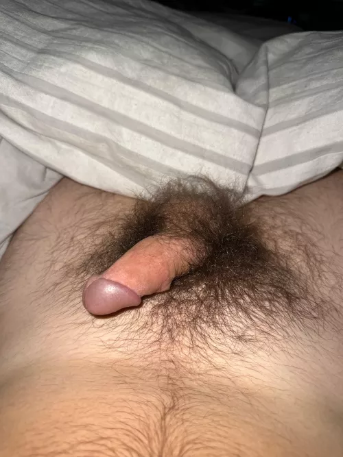 28 need some help nutting. 3 day load. anyone wanna give JOI on sc live? verbal+ add me: tytyty47