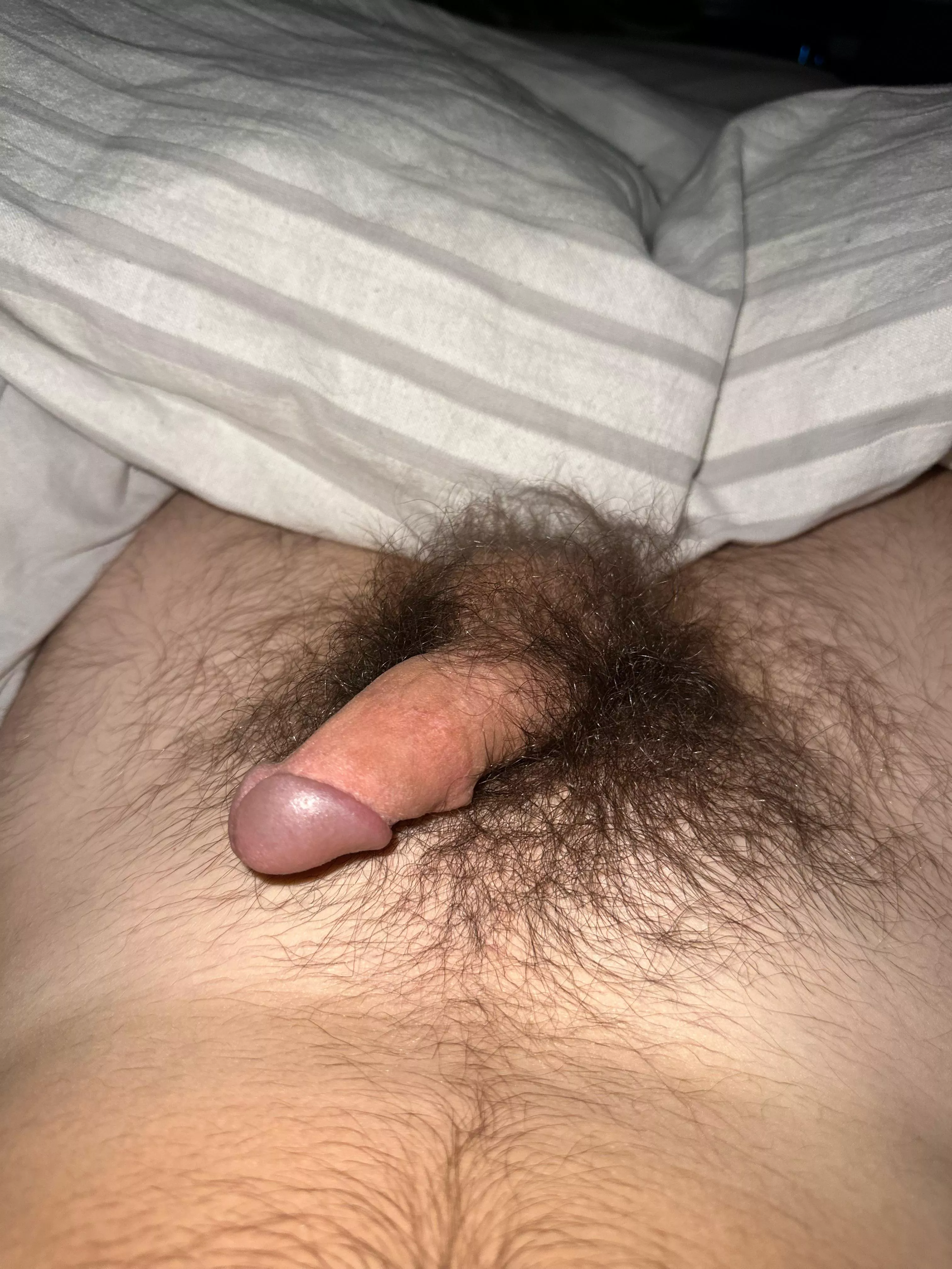 28 need some help nutting. 3 day load. anyone wanna give JOI on sc live? verbal+ add me: tytyty47