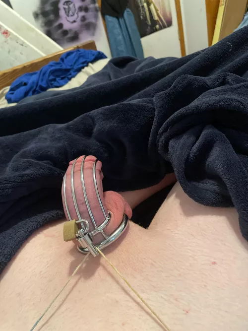 Day 2 of perminant chastity!!!
