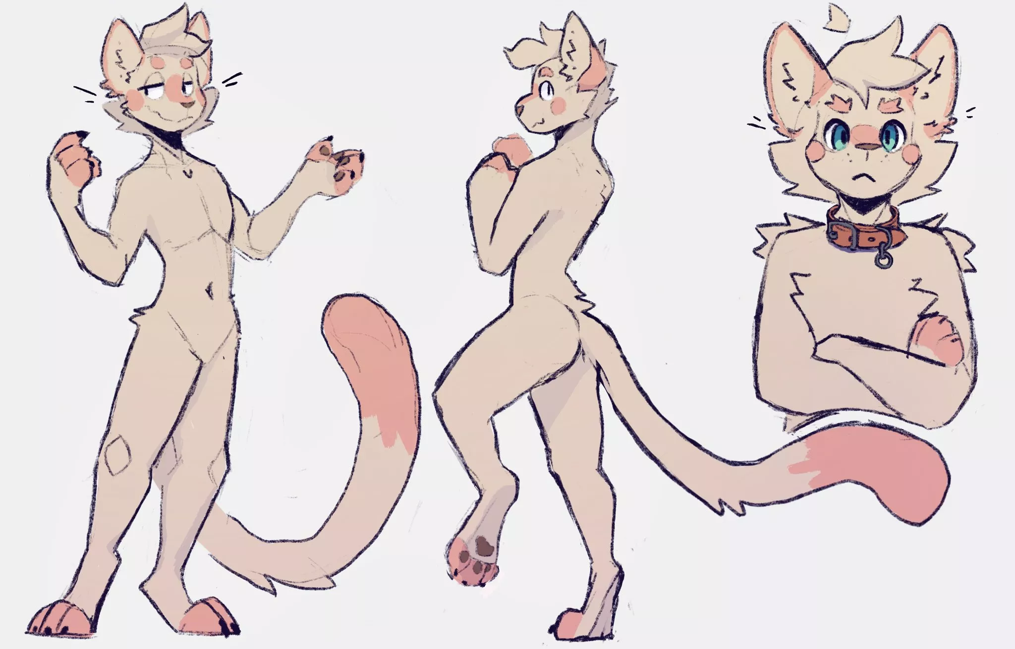 finally made a ref sheet