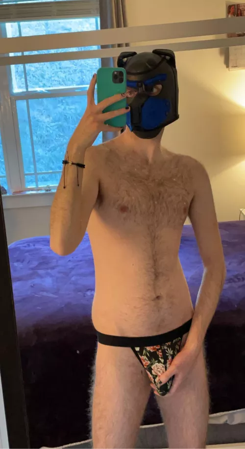 Hii new pup here looking for fwiends 🐶