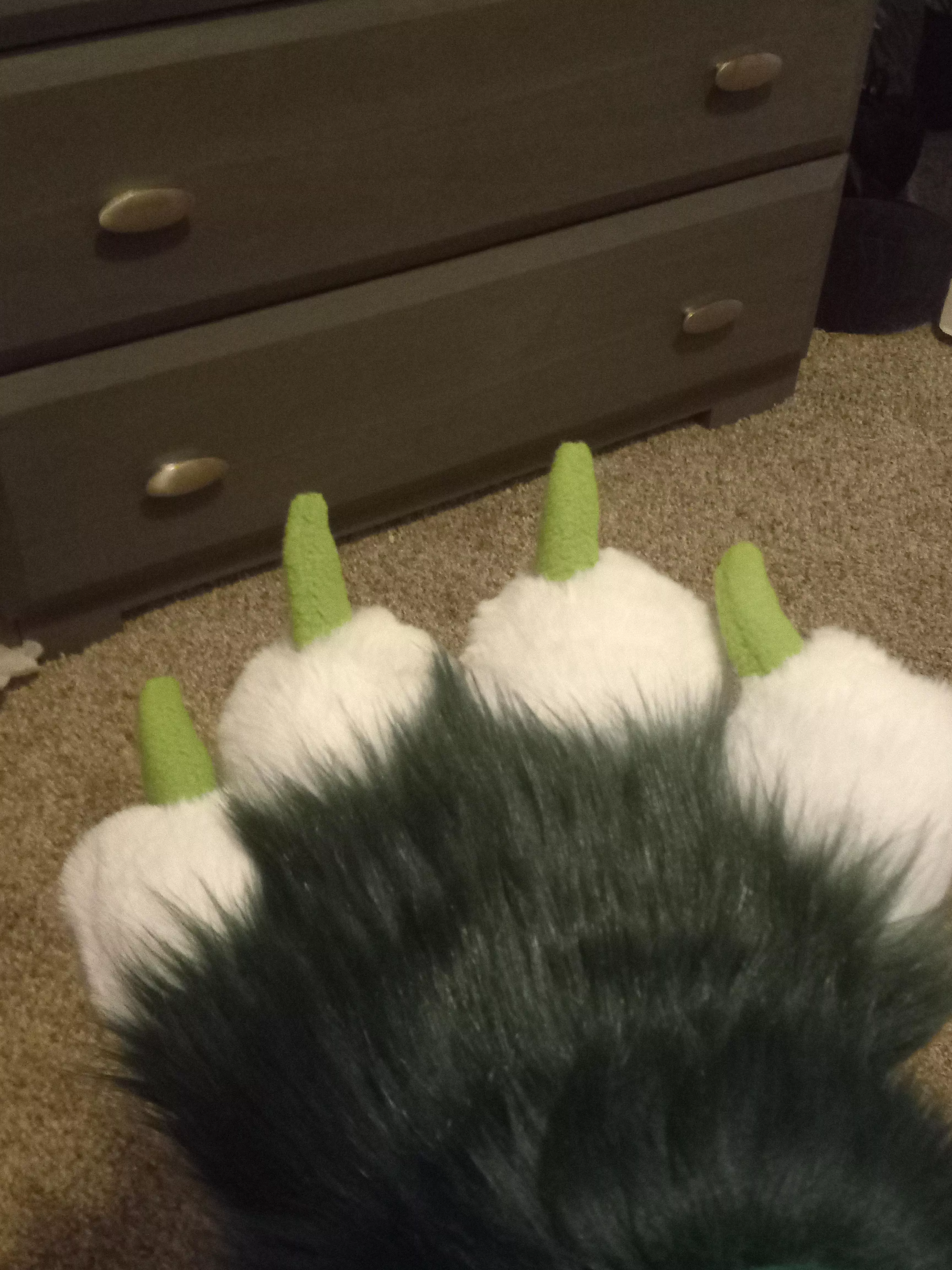 Just from my paw how cute do yall think me is? 🤔