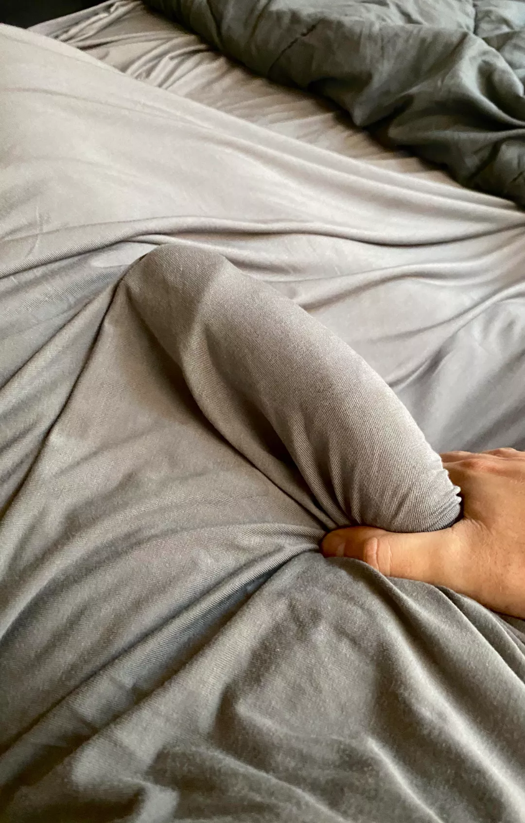 Ladies, like the morning wood?