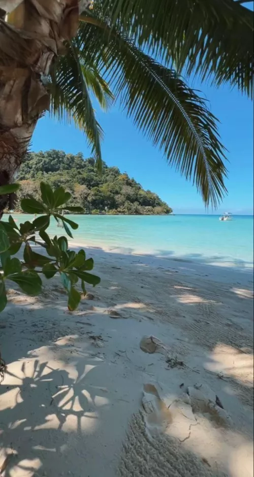 Life is better at the beach 💗