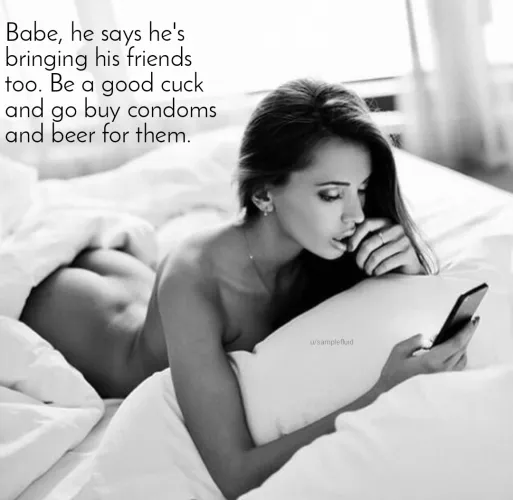 Make sure your wife's bulls have everything they need.