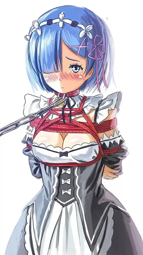 Making maid submissive and obedient