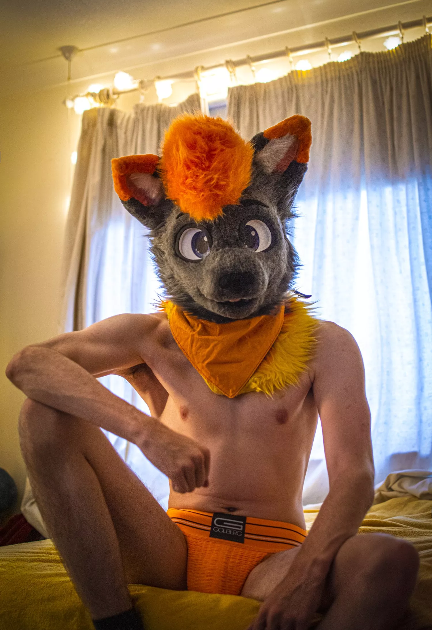 Morning you little sluts