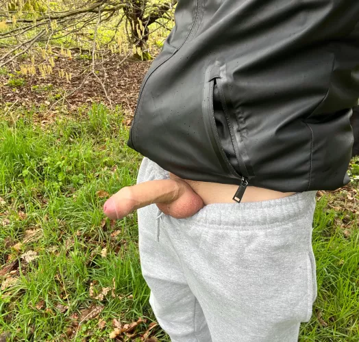 Peak a boo, you found me !