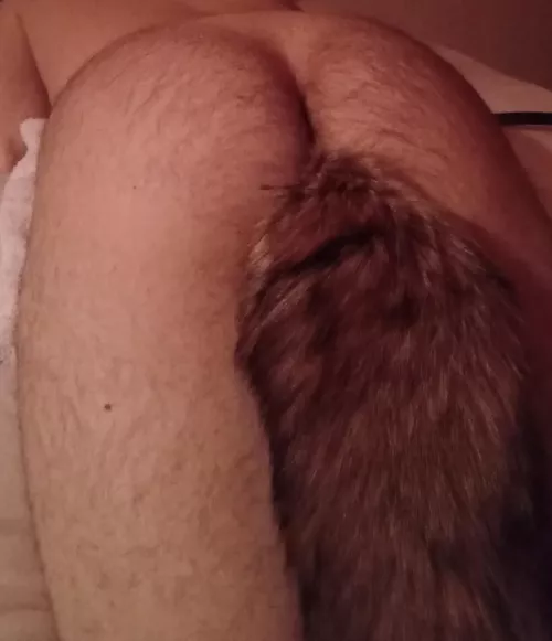 Puppy boys have tails too