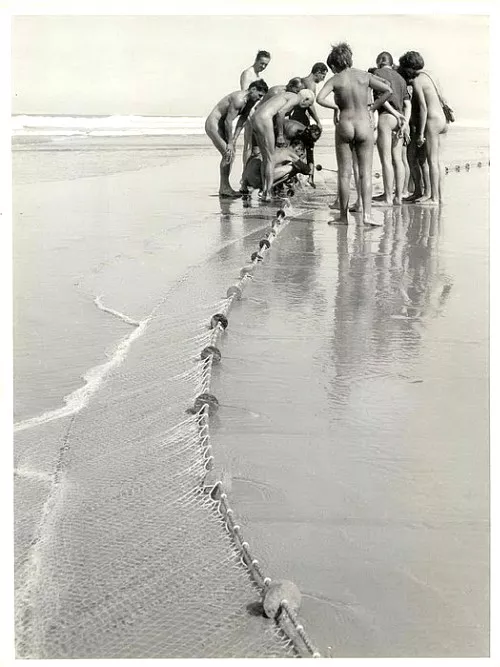 Something interesting caught the net