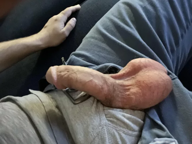 They are pretty large