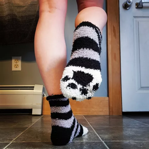 Trying to be the purrfect lil kitten 😸 (female)