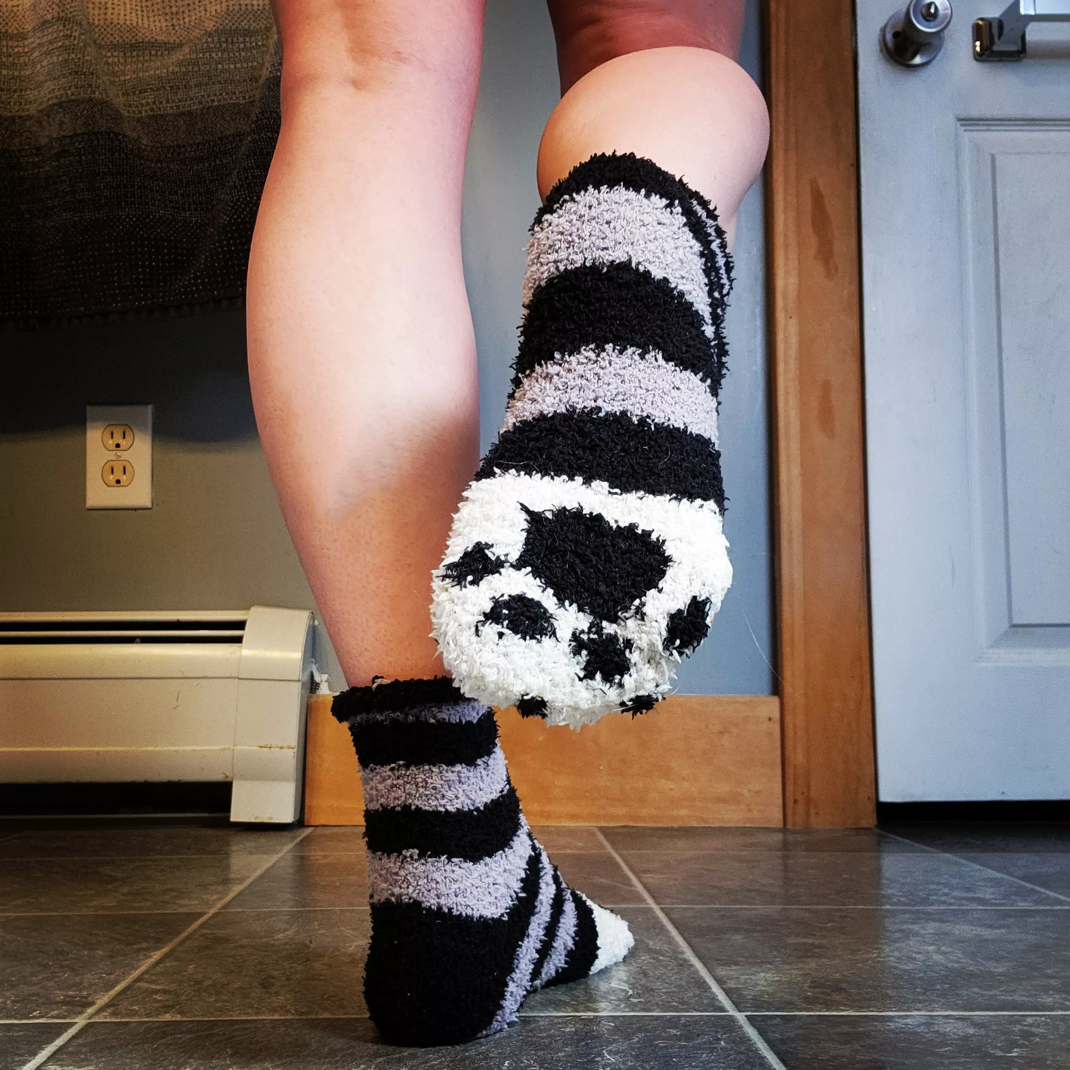 Trying to be the purrfect lil kitten 😸 (female)