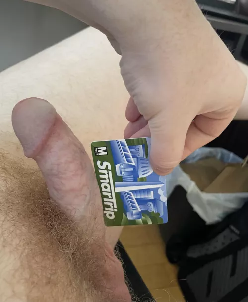 Wanna take a ride on this metro?