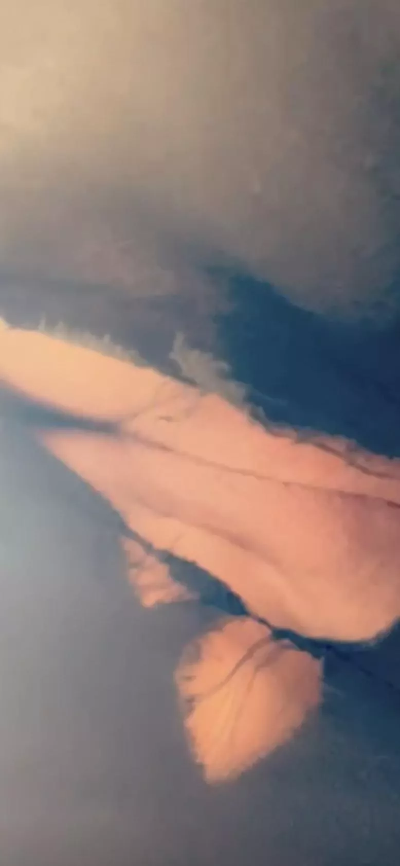 Went to the gym today and this happened!