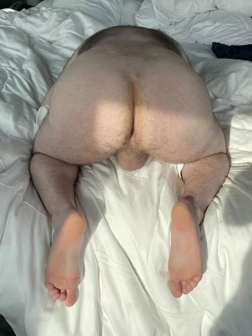 Who here like thick bear butts?