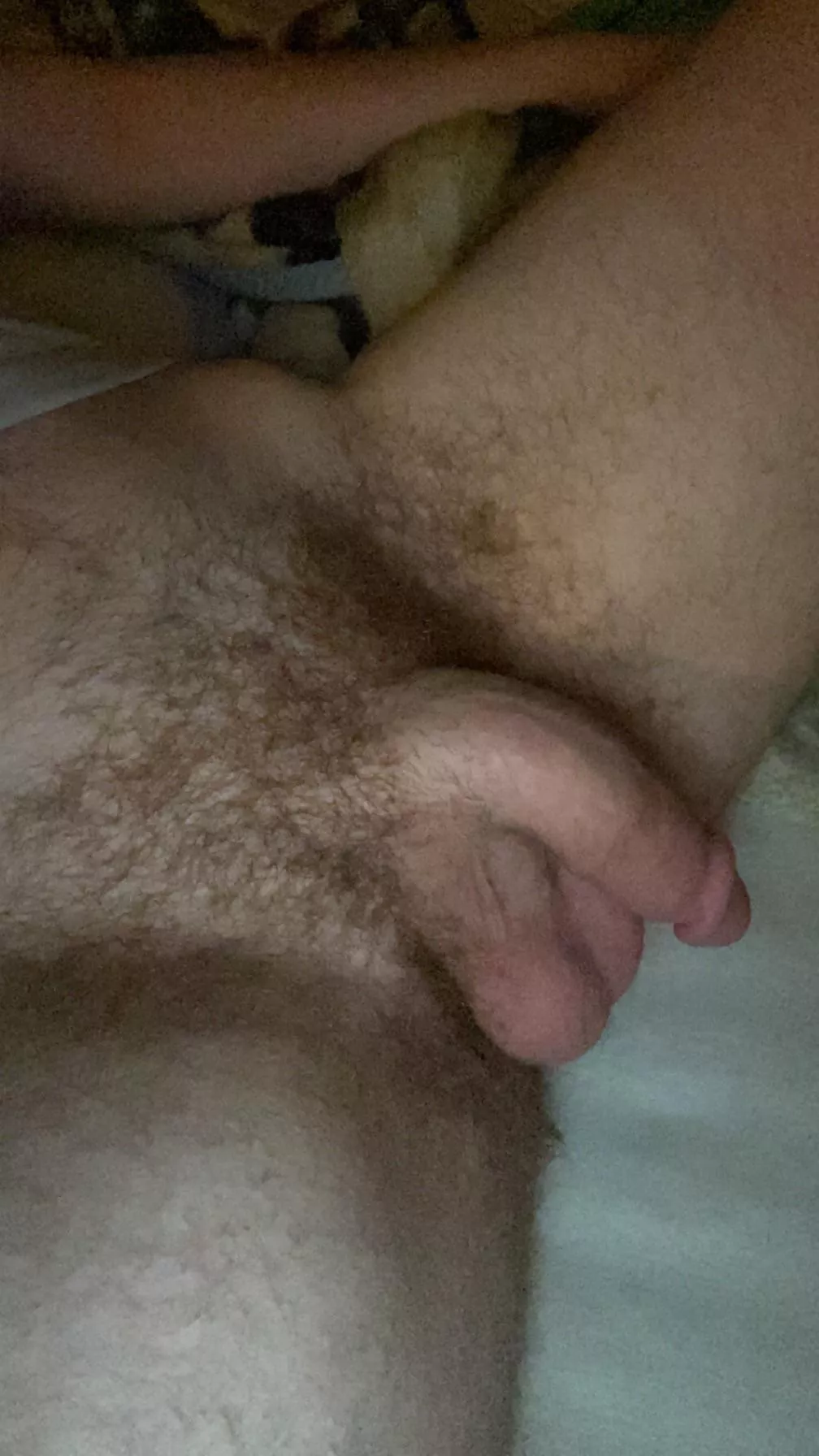 Who wants a friendly comparison bros?