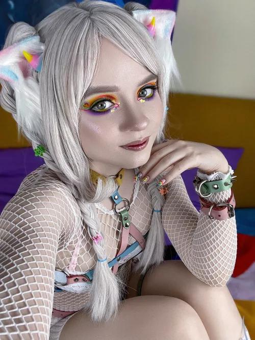 Your kitty is in the net