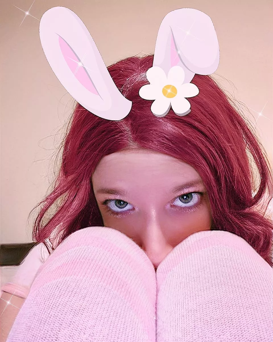 🩷🐰🩷