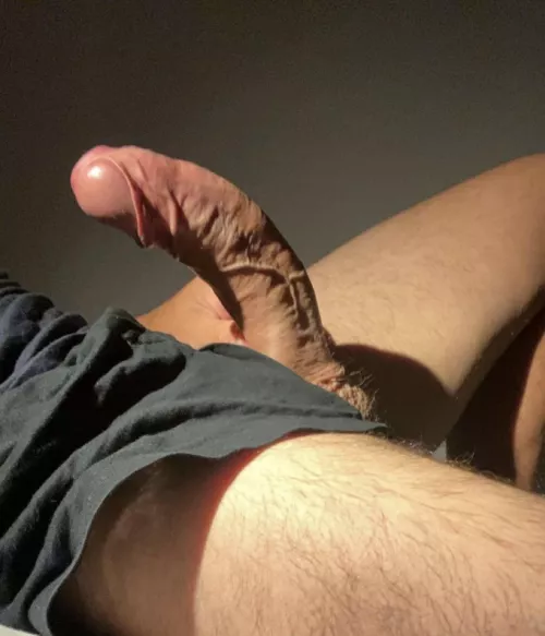 A nice bit of afternoon light