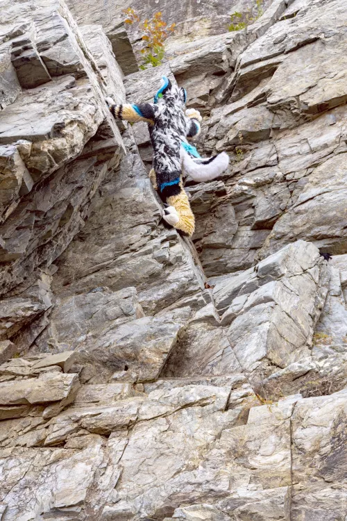 ⛰️🐈 (@ChatahSpots on Twitter)