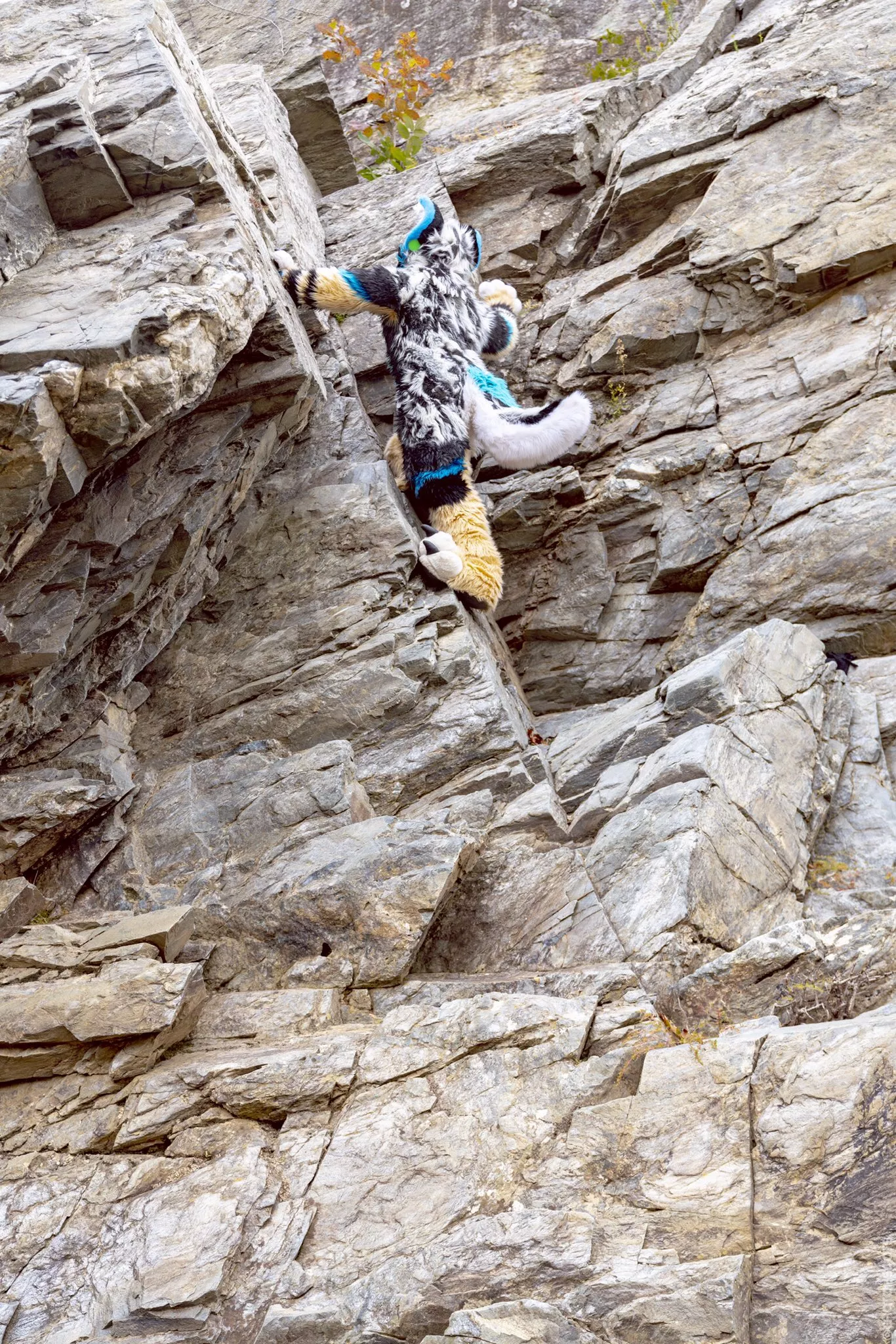 ⛰️🐈 (@ChatahSpots on Twitter)