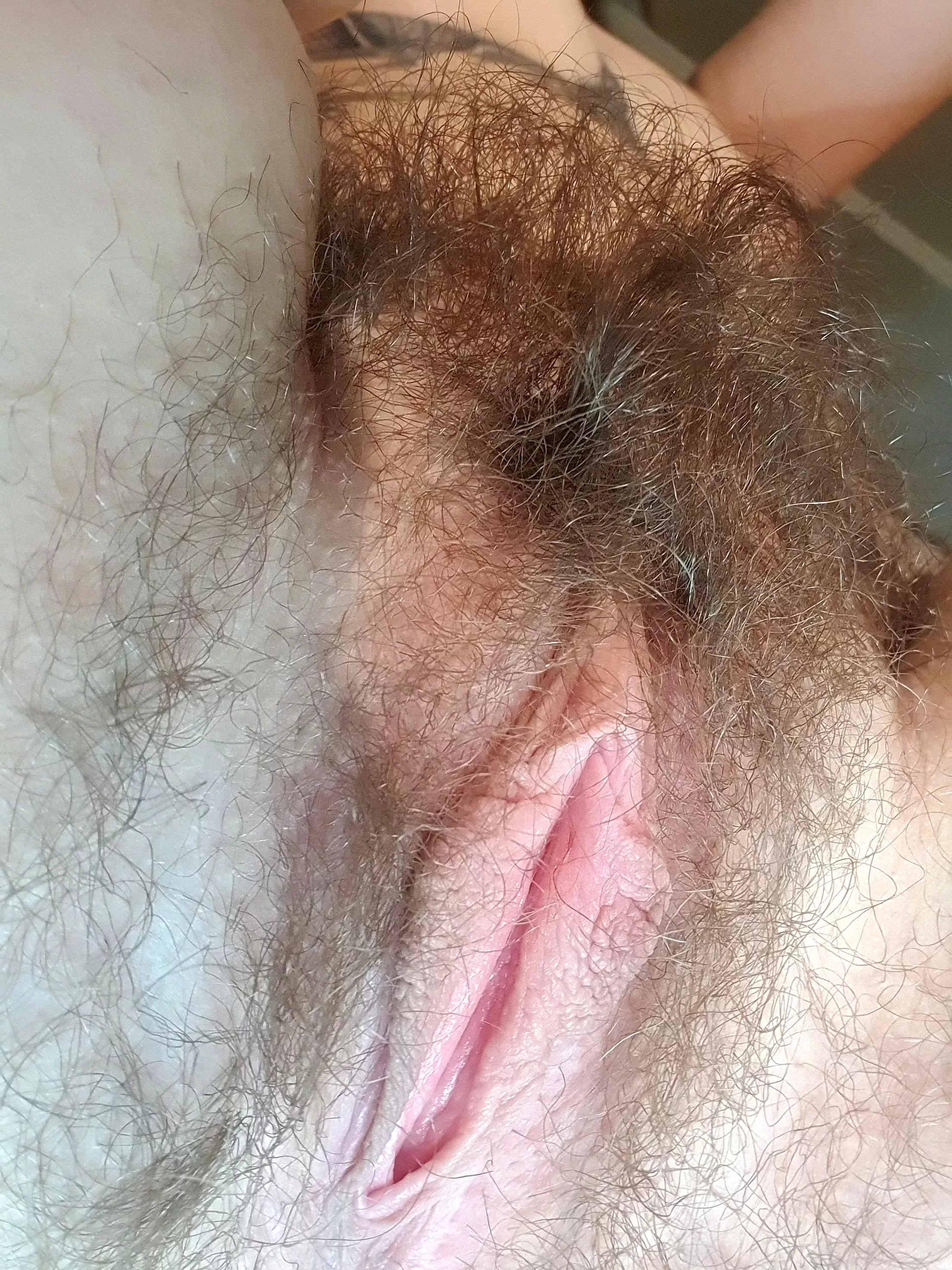 Do you like the view?