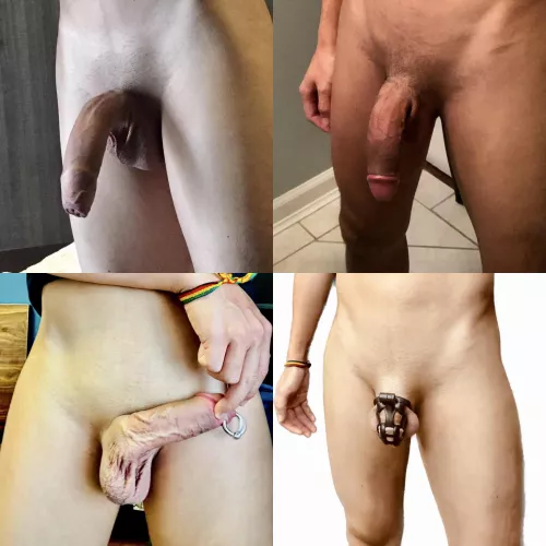 Evolution of chastity boy: from uncut to cut to PA piercing. The things it does for chastity. Next step: hair laser remover, and a truly fit and light metal cage for long term wear with minimum clean up