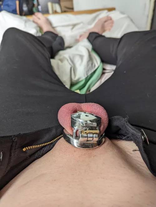 First post here, does it suit me?