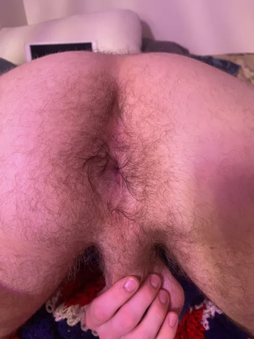 Hairy twink hole