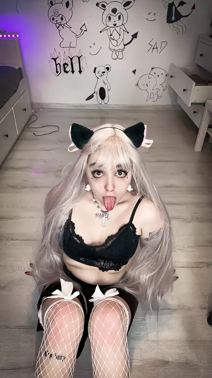 Have you seen my leash?