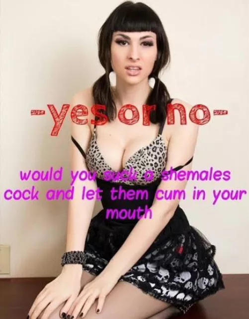 Honestly is it even a question?