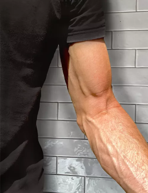 Left half of a pair of cuddling arms [M47]