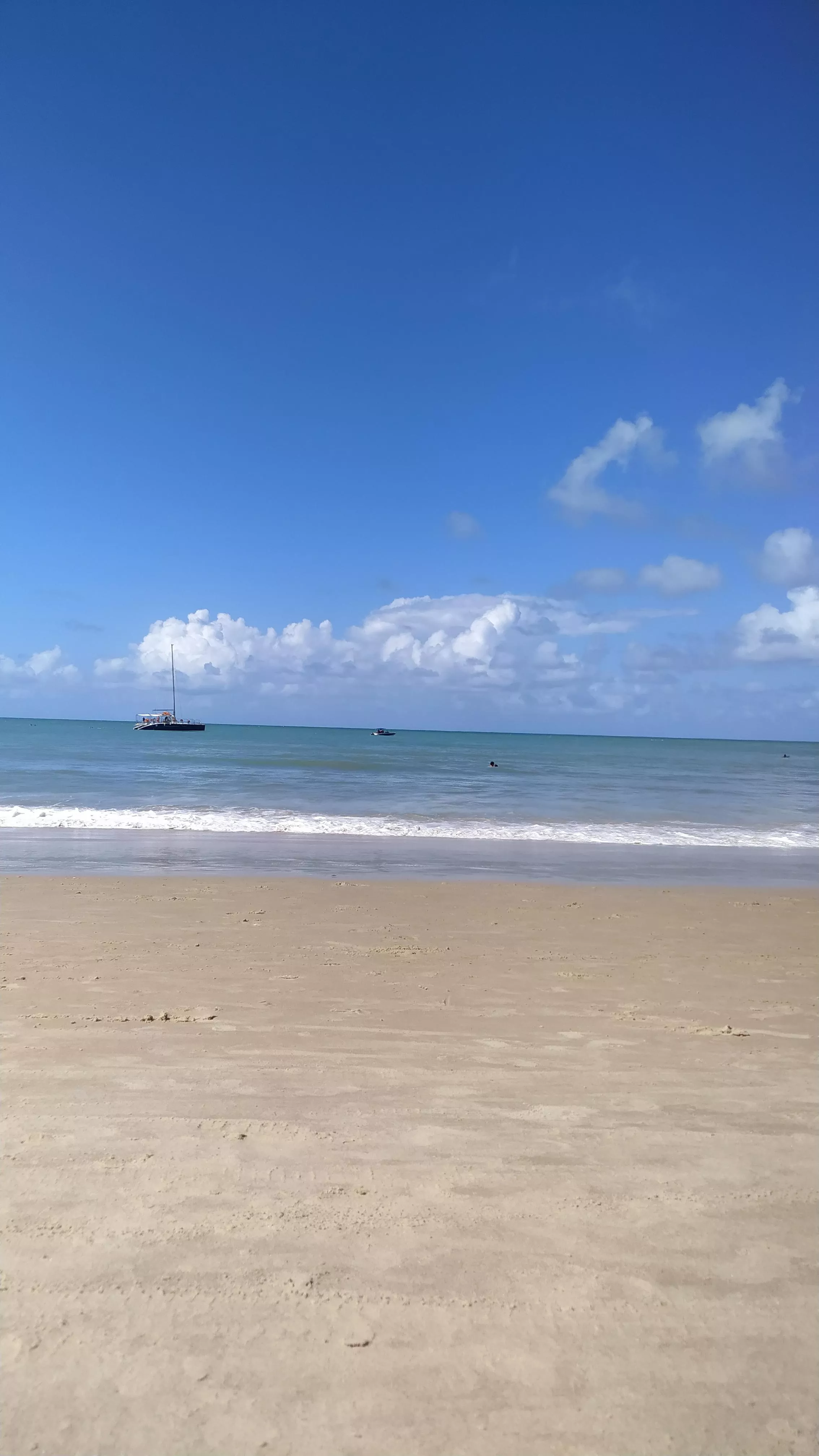 Lets go tropical Love's!