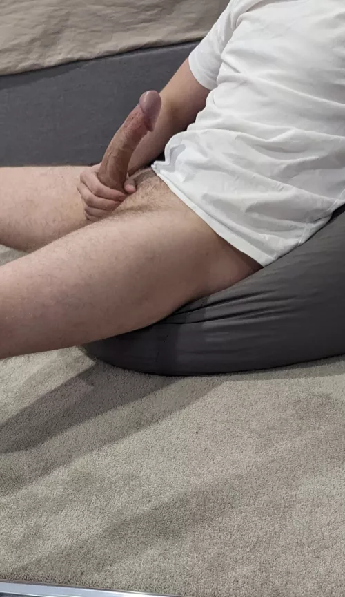 Married Bull With A Pass, Any Takers?