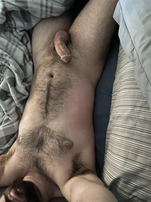 Morning beard morning boner