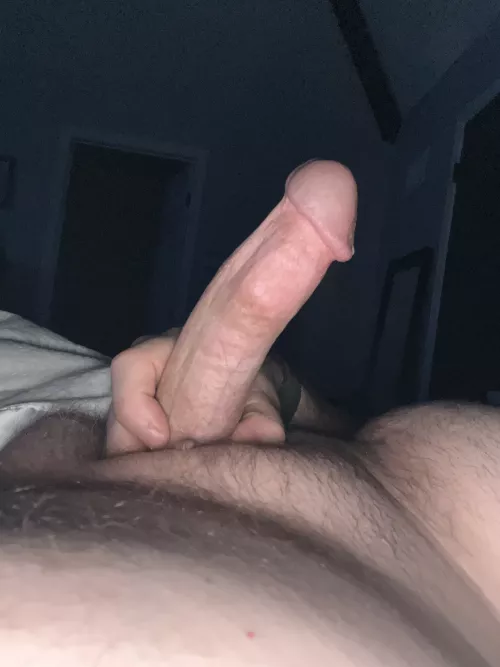 Morning wood anyone. (47)