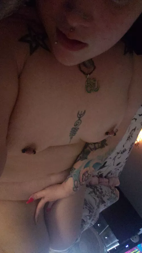 Needing some company this morning