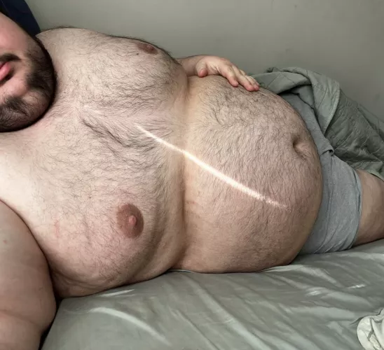 Recently single. Could use some snuggles and belly rubs.