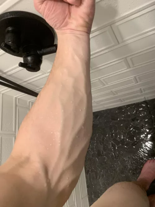 Shower forearms