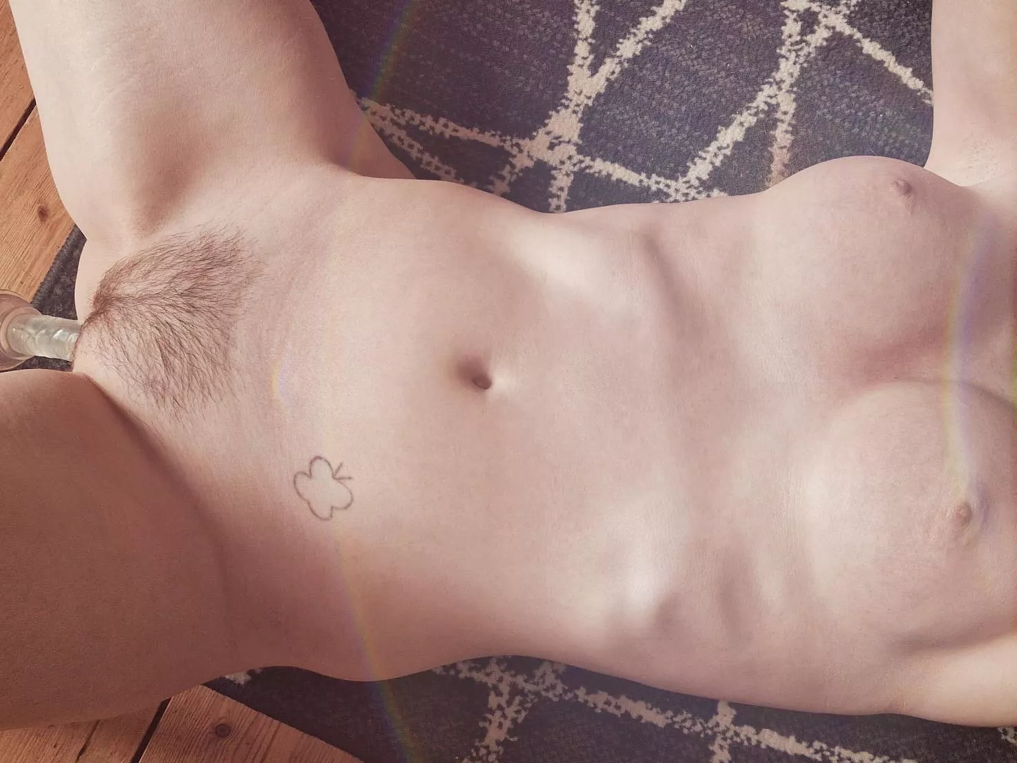 So proud of how my bush is growing!