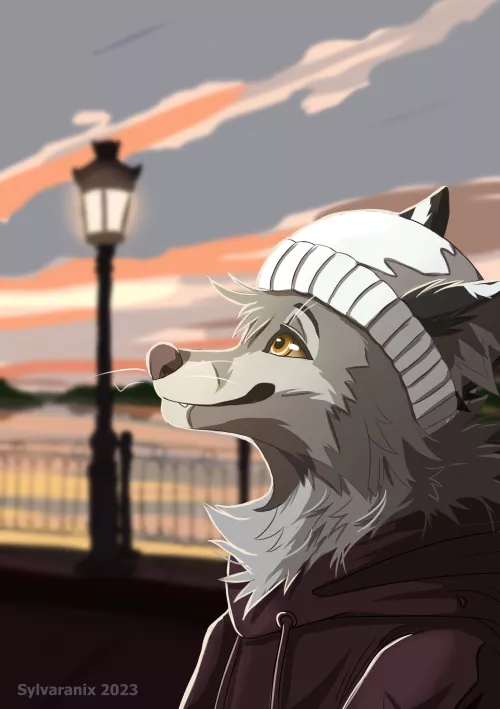 Sunset 🌇 - art by me, @Sylvaranix on twitter