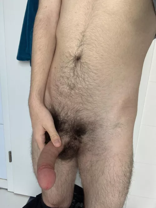 This is what my homework breaks look like