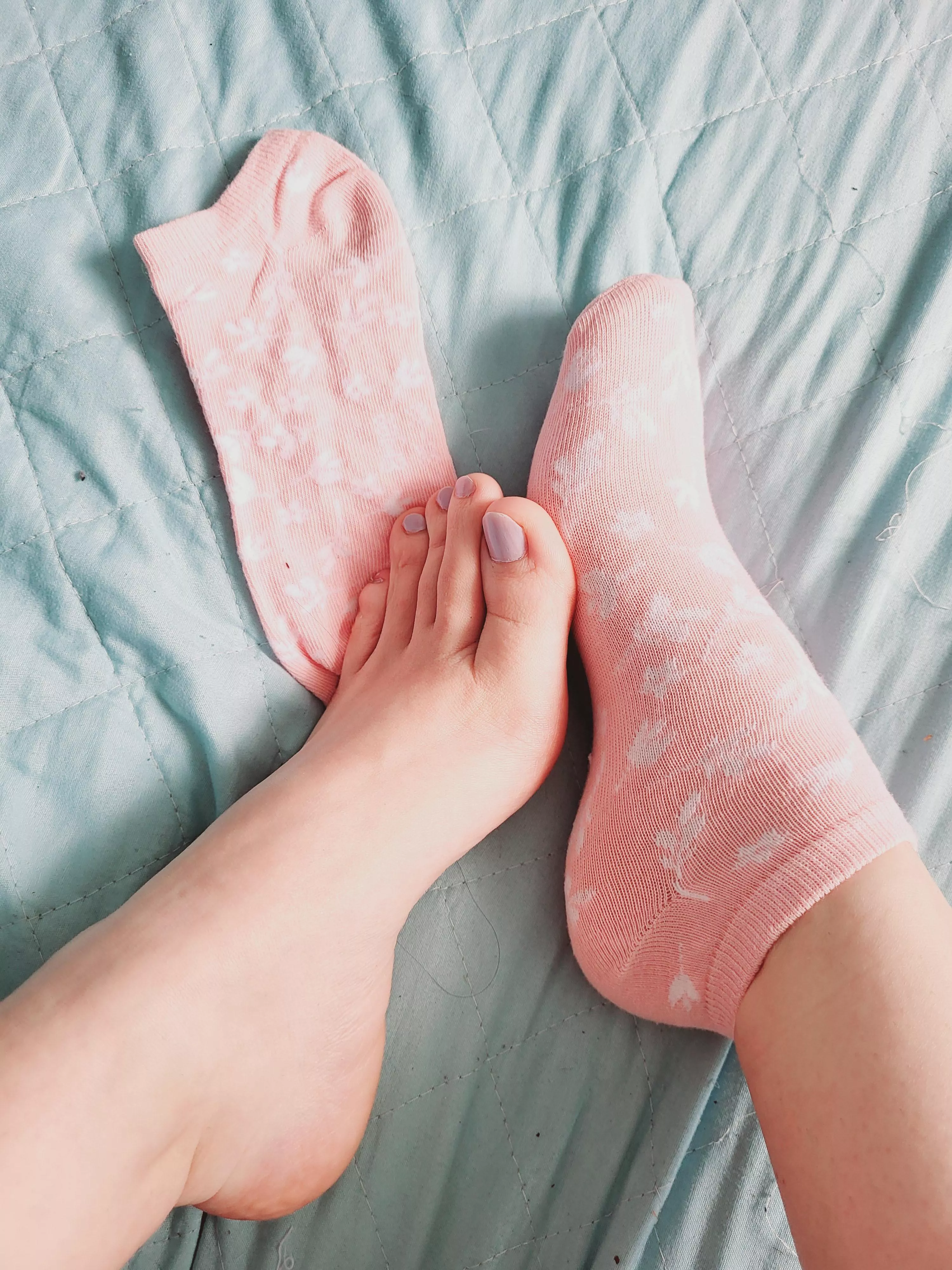 Wanna chew on them? (OC)