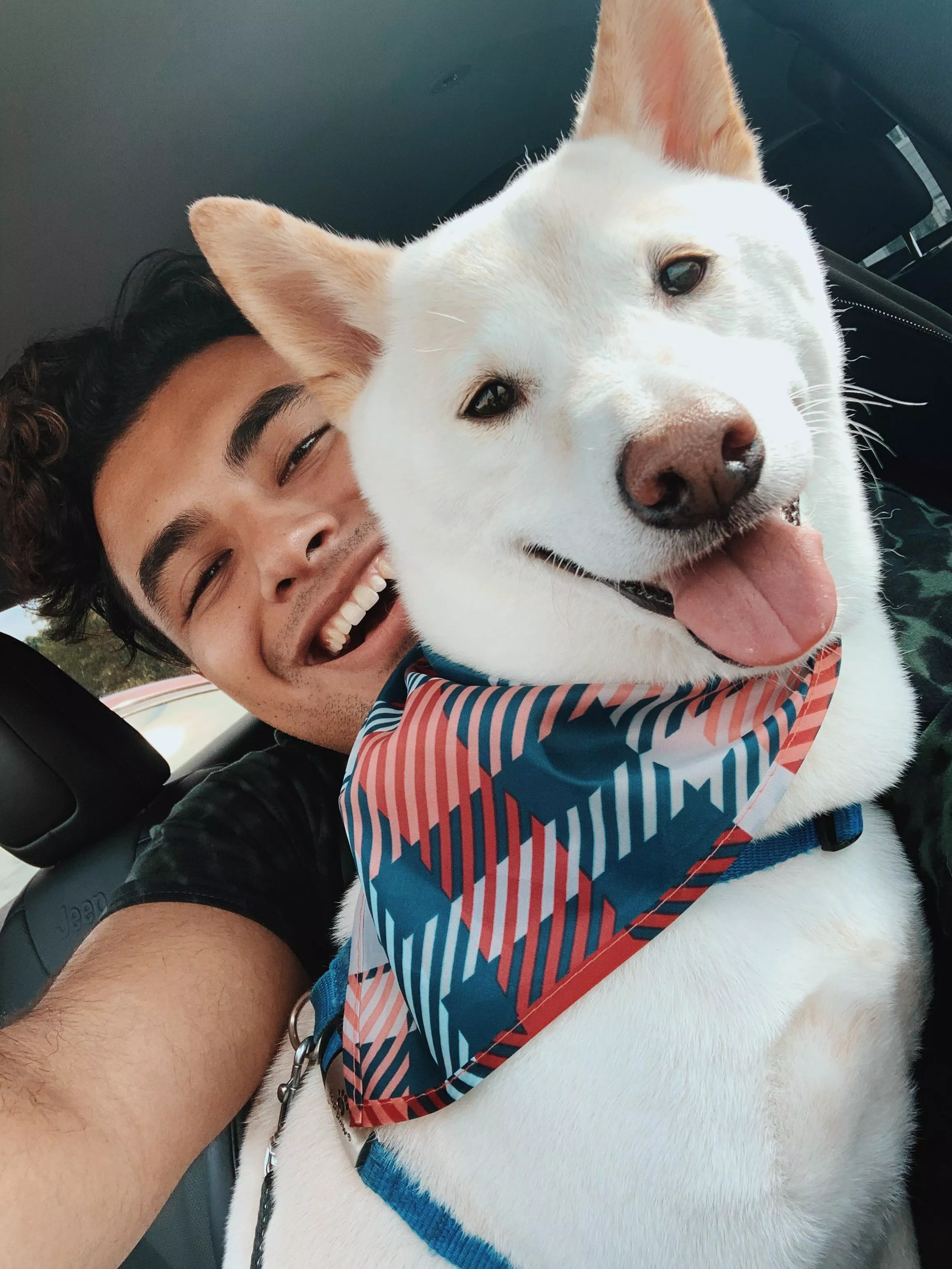 Who else here is a dog person??