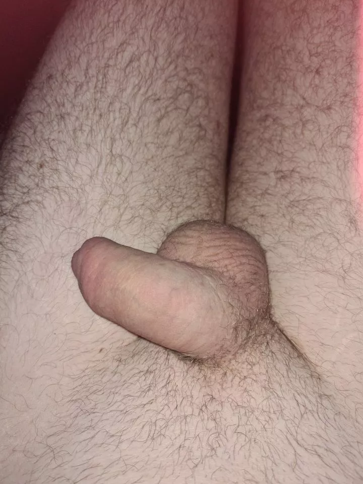 [26] uk little dick sub bottom. Kik jamie231990
