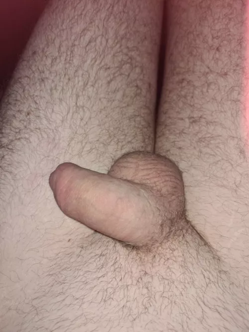 [26] uk little dick sub chav lad. Kik jamie231990