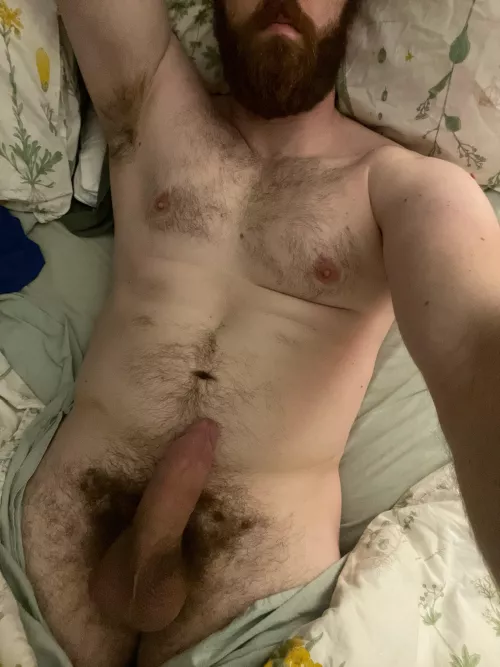 29, 6’5”, bi, and hard af thinking about pleasing you with my thick cock, thick beard, or fat ass. Which do you want?